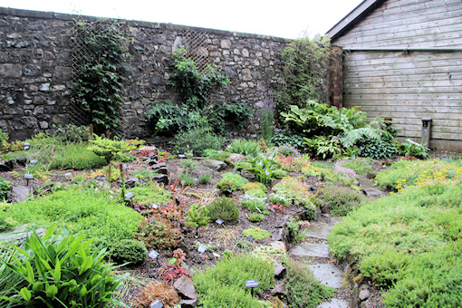 Alpine garden by entrance to garden&copy;Ken Woolfenden