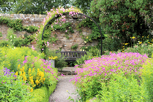 Roses and geraniums&copy;Ken Woolfenden