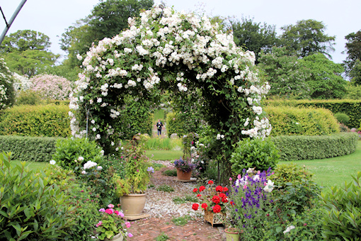 Roses and structure in the garden&copy;Ken Woolfenden