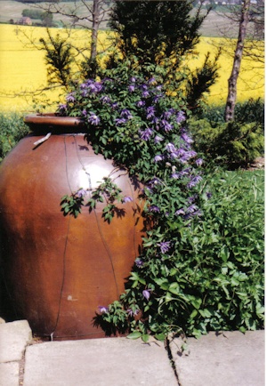 C. 'Maidwell Hall'©Roy Nunn