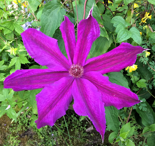 C. 'Kacper'©Linda Beutler