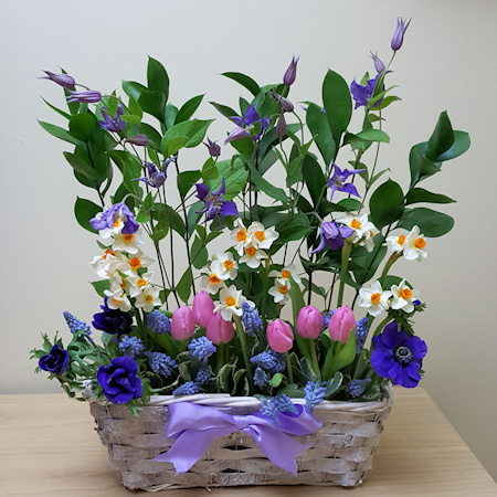 Flower arrangement containing C. 'Zobluepi' AMAZING BLUE PIROUETTE©Fiona Woolfenden