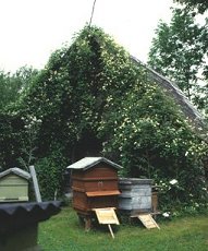 C. Paul Farges behind bee hives